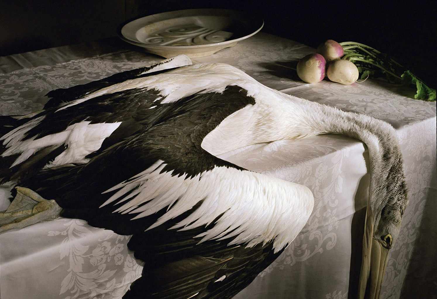 Marian Drew (Bundaberg b. 1960), Pelican with turnips (detail) 2005