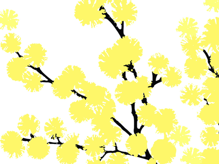 Wattle Teatowel
