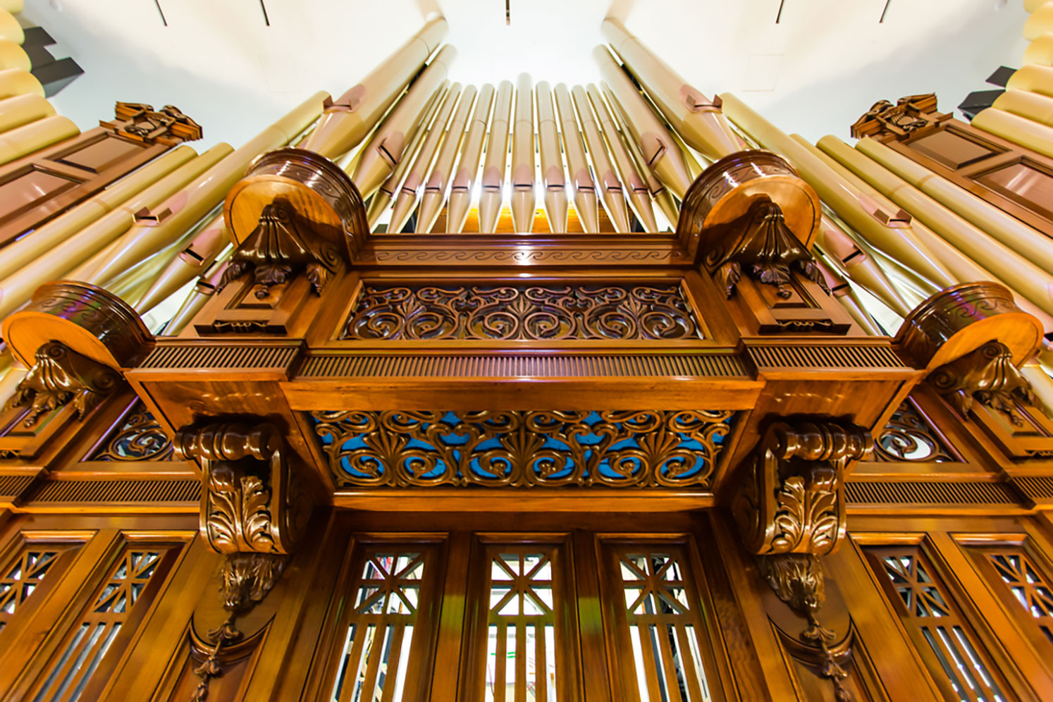 brisbane city hall organ tours