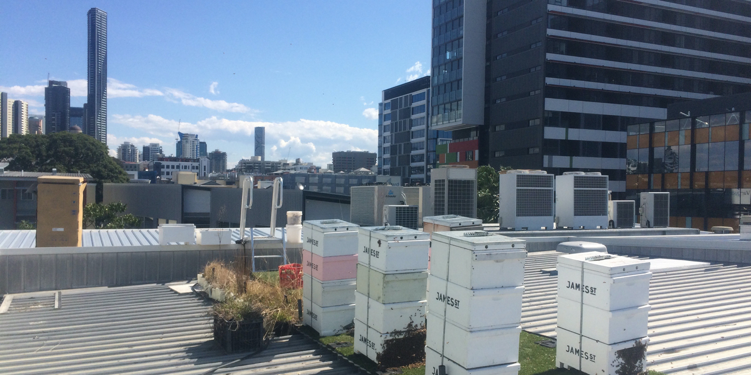 Stack of hives on rooftop at James Street