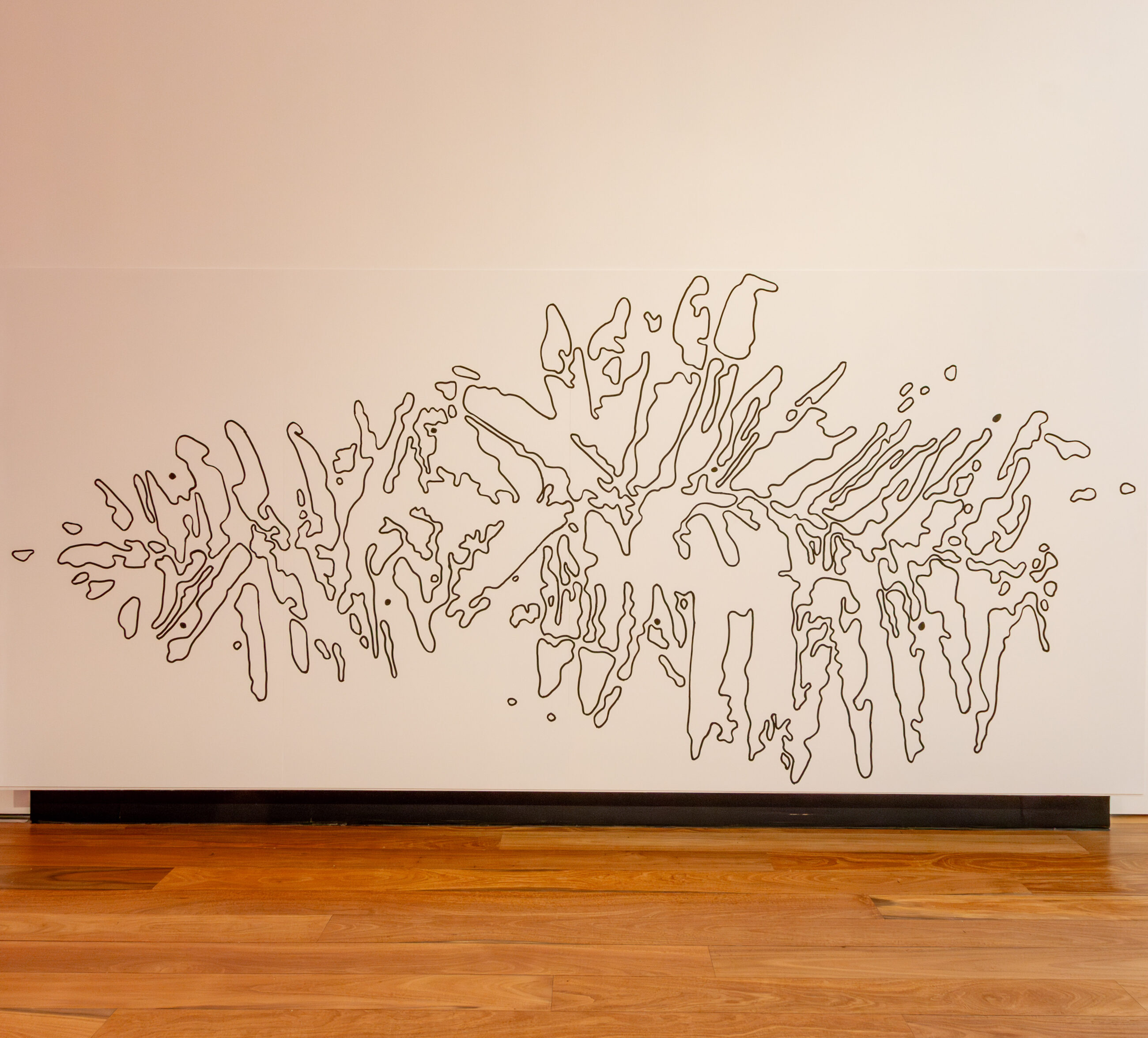 Outline of bunya leaf placed onto the museum wall 2 metres wide