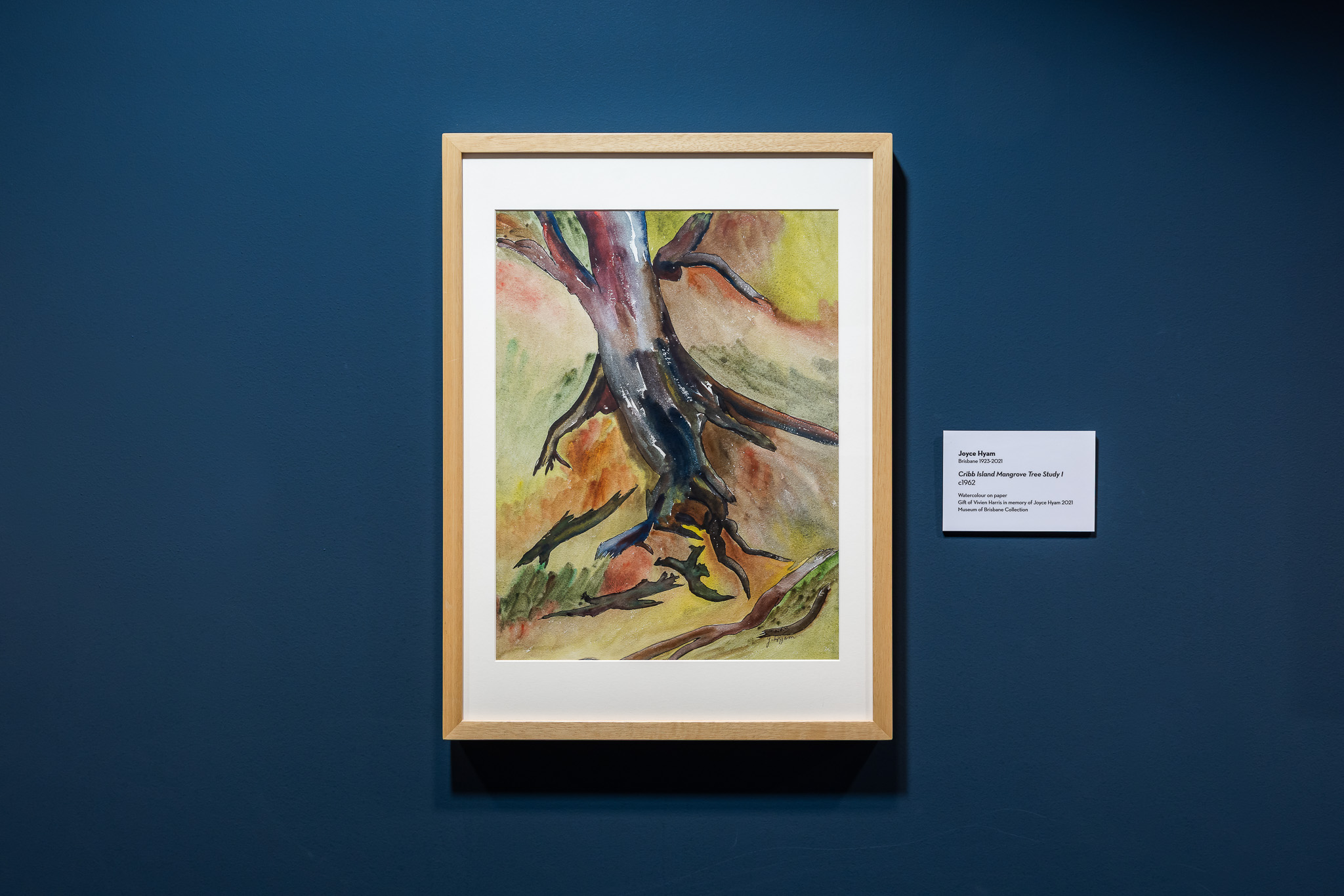 Watercolour painting of Cribb Island mangrove tree.