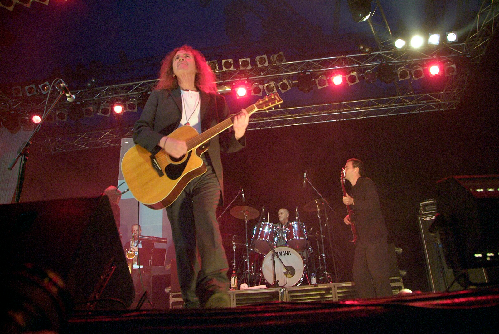 Punk rock band, The Saints on stage at Brisbane's Pig City Concert, July 2007