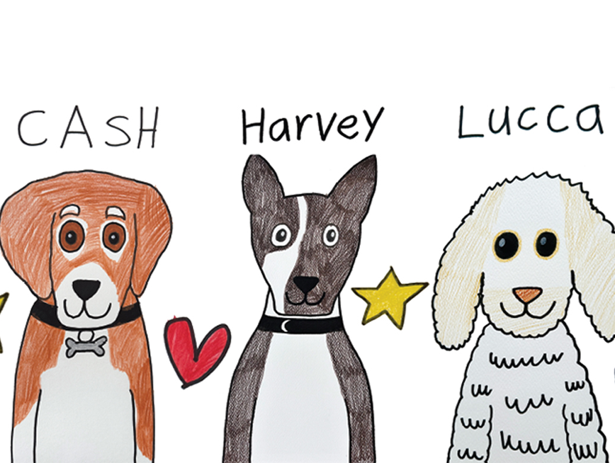 Three drawings of dogs Cash is brown, Harvey is black and white and Lucca is white and fluffy.