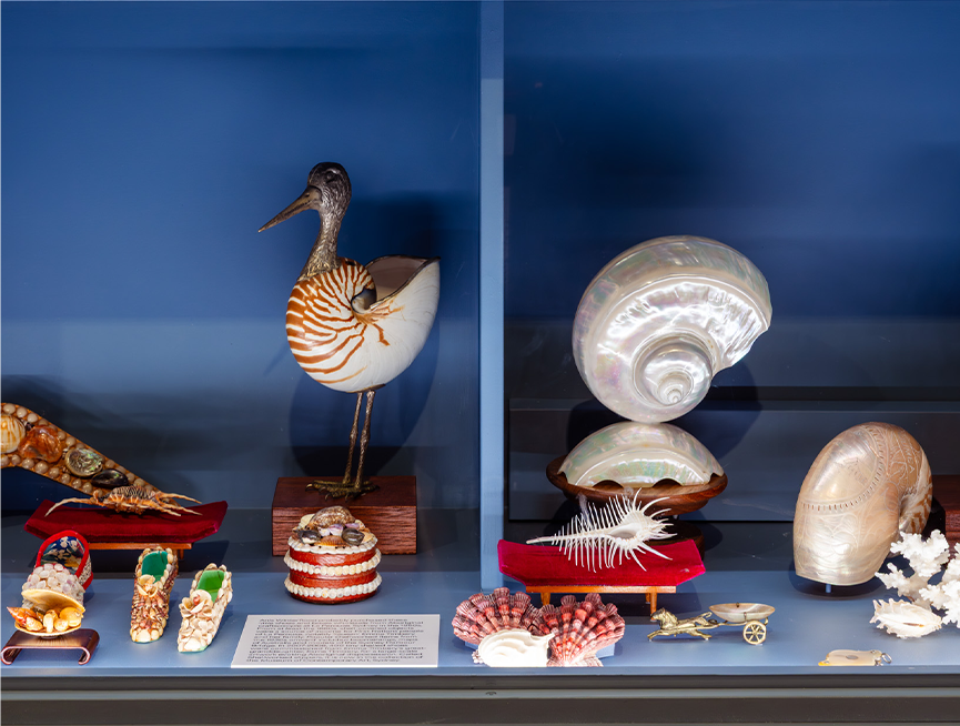 A display of shells and shell related decorative objects.